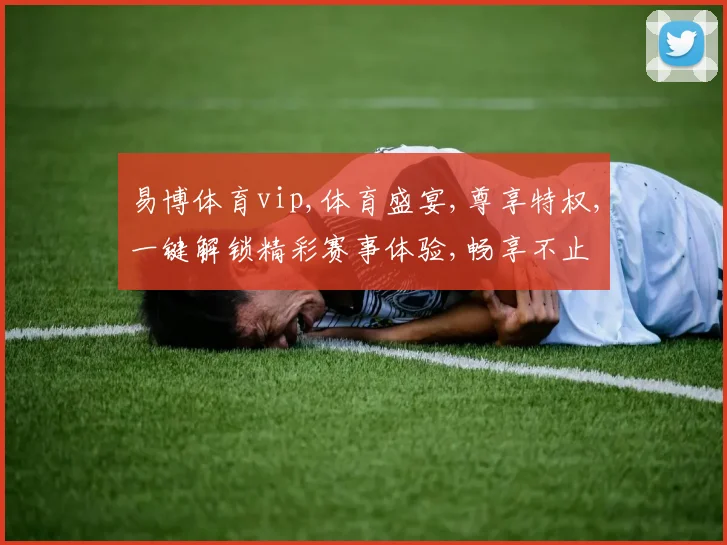易博体育vip,体育盛宴,尊享特权,一键解锁精彩赛事体验,畅享不止