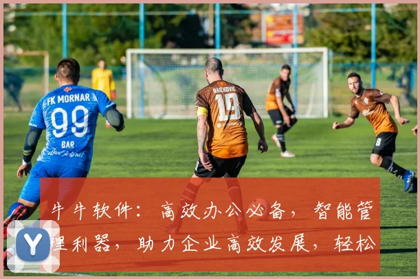 牛牛软件：高效办公必备，智能管理利器，助力企业高效发展，轻松办公两不误