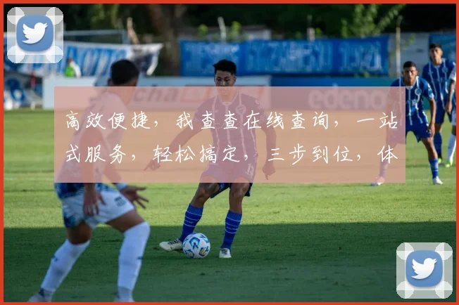 高效便捷，我查查在线查询，一站式服务，轻松搞定，三步到位，体验非凡
