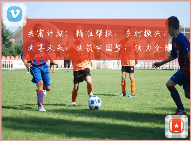 共富计划：精准帮扶，乡村振兴，共享未来，共筑中国梦，助力全面小康。